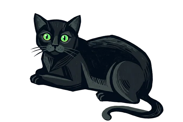 A majestic black cat waiting for yarn